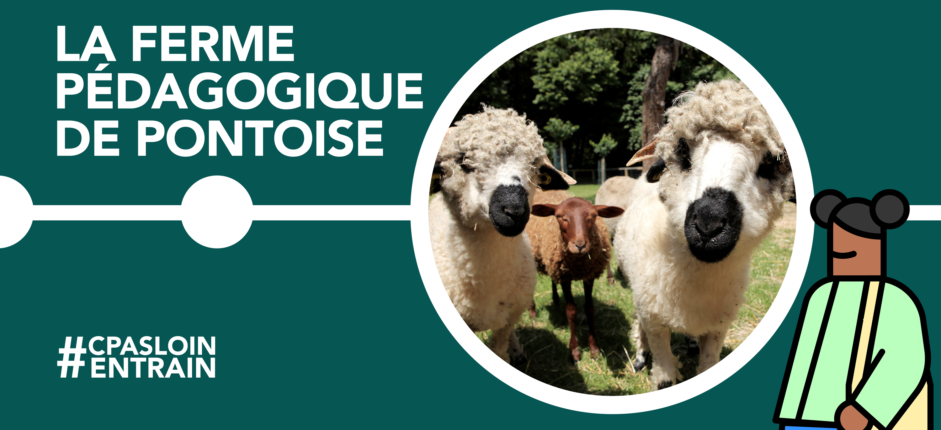 Image à la une de la ferme pédagogique de Pontoise (avec trois moutons en fond d'image)